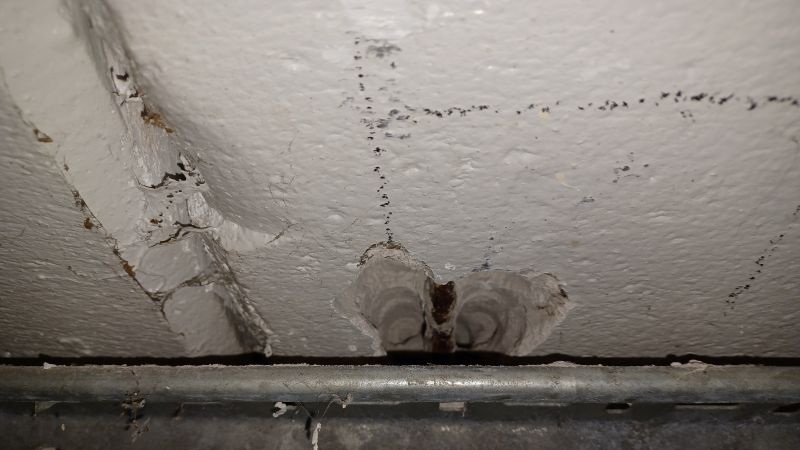 4 of 10 - RAAC Bearing Investigation