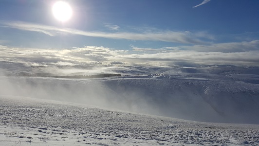 View looking over site